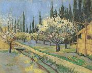 Vincent Van Gogh Orchard in Blossom,Bordered by Cypresses (nn04) oil painting picture wholesale